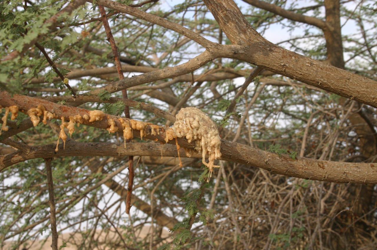 Evolution 020-1280.jpg